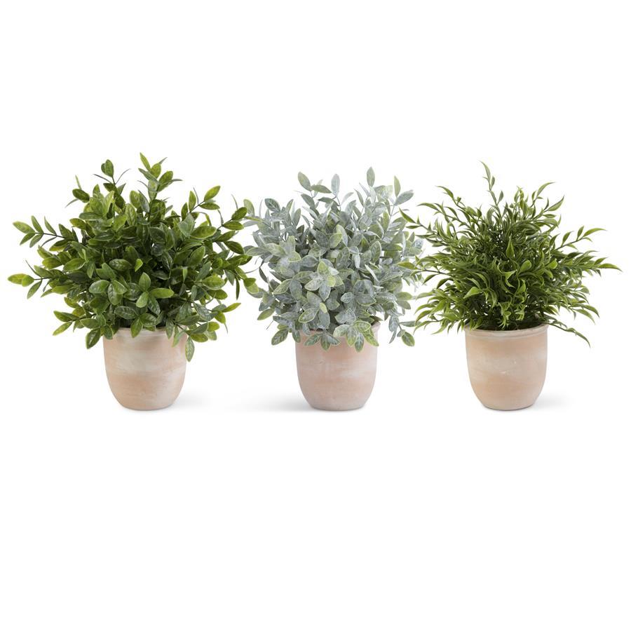 Herb in Terracotta Pot 13"