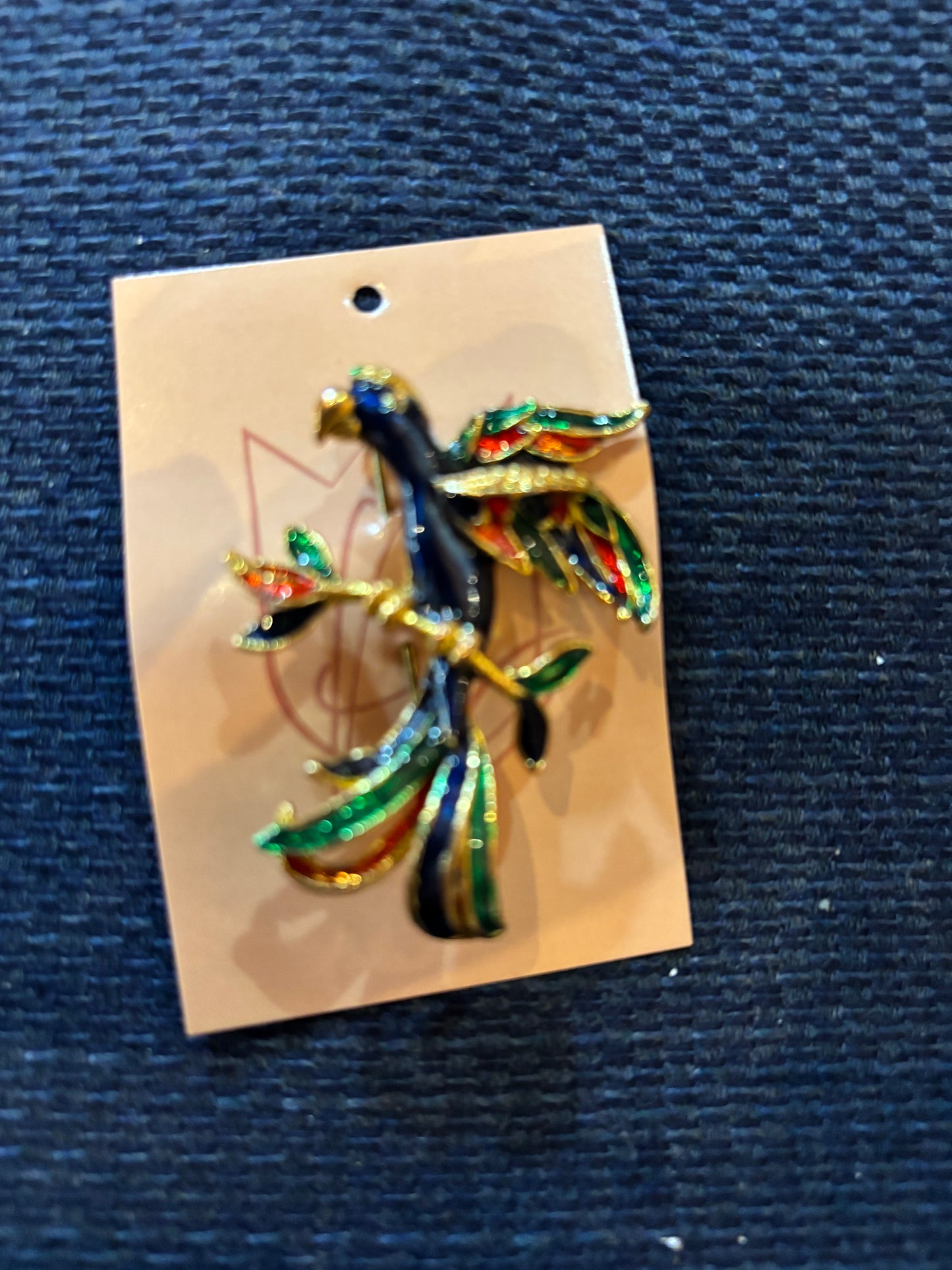 Multi Color Parrot