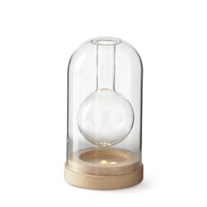 Clear Glass LED Cloche Bud Vase w/Timer