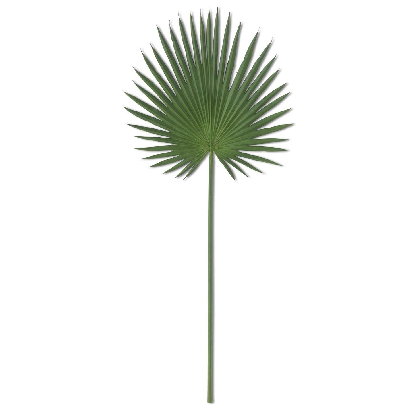 Fan Palm Leaf Stem 44"