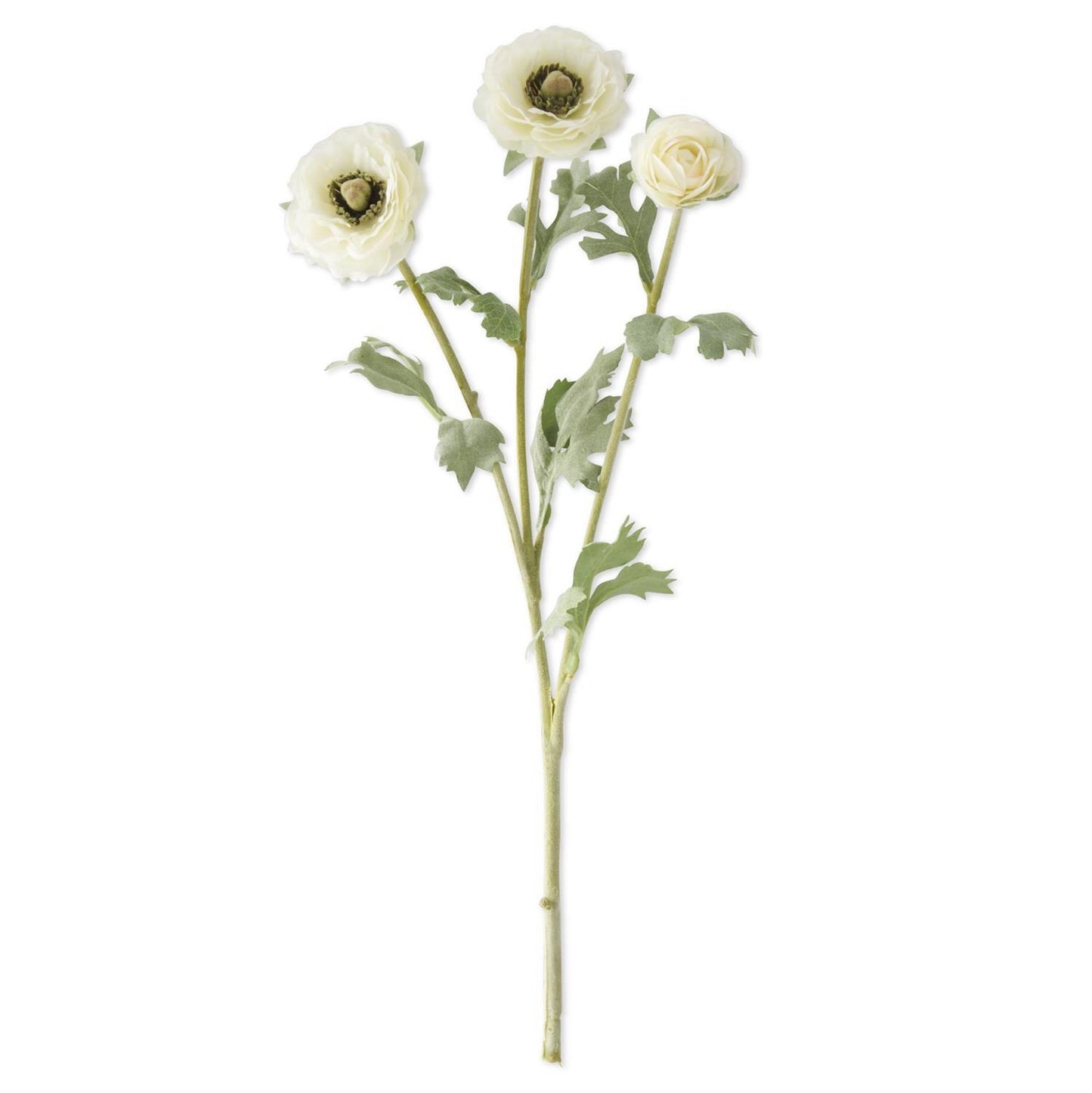 3 Head White Ranunculus Stem