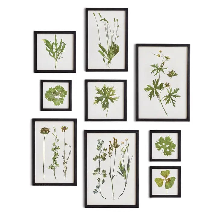 Foliage Prints S/9