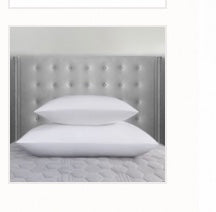 Pillow Insert Down King