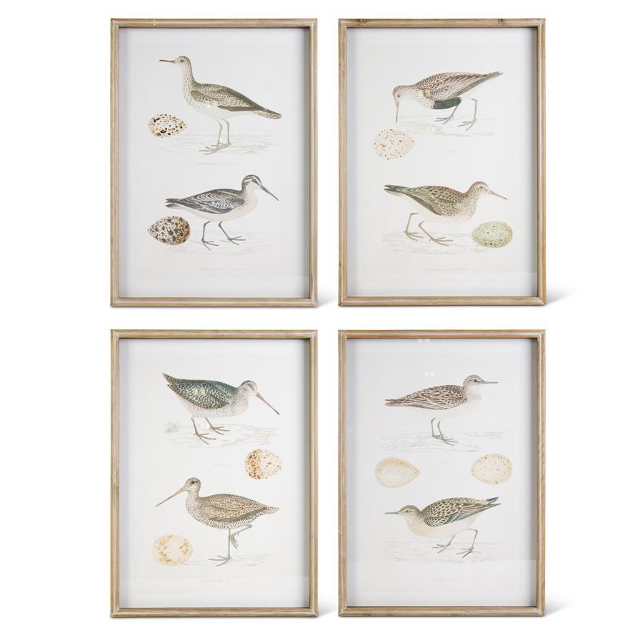 Assorted Whitewashed Sandpiper Prints
