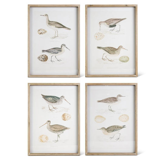 Assorted Whitewashed Sandpiper Prints