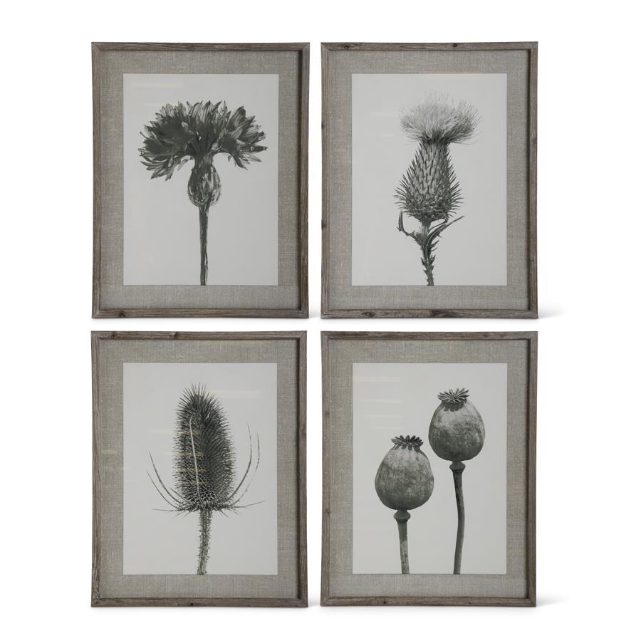 Black & White Wood Framed Floral Stem Print Assorted