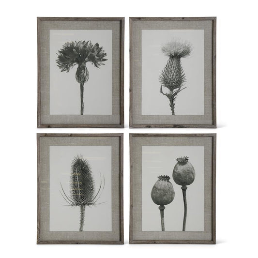 Black & White Wood Framed Floral Stem Print Assorted