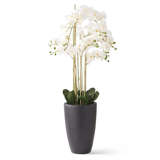 Real Touch White Phalaenopsis Orchid 49.5"