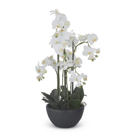 Real Touch Orchid w Faux Moss