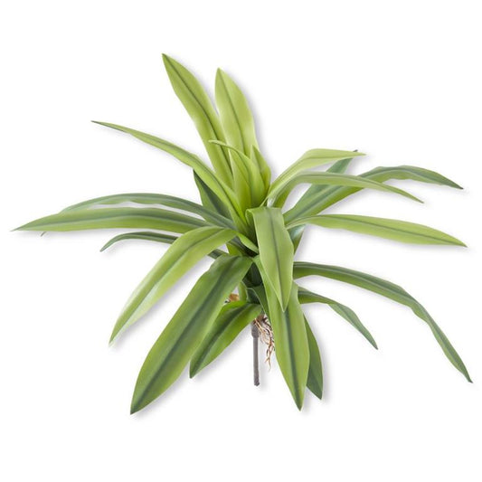 Agave Foliage Spray