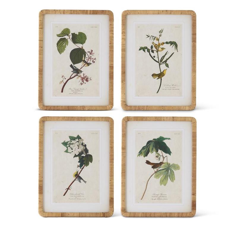 Assorted Bird/Botanical Prints