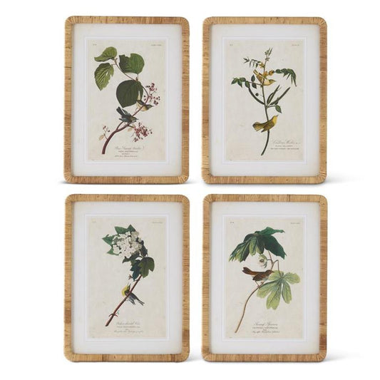 Assorted Bird/Botanical Prints