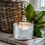Gracious 1-Wick Silver Leaf