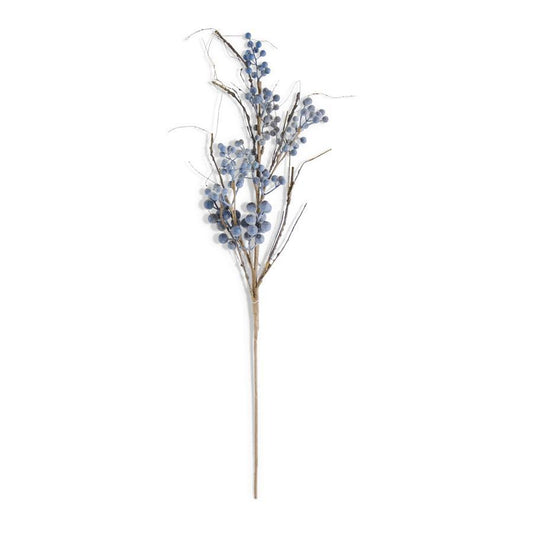 Powdered Concord Grape Branch