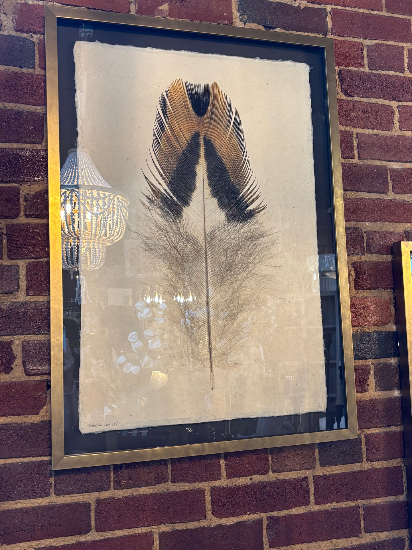 Feather Print  34 x 24