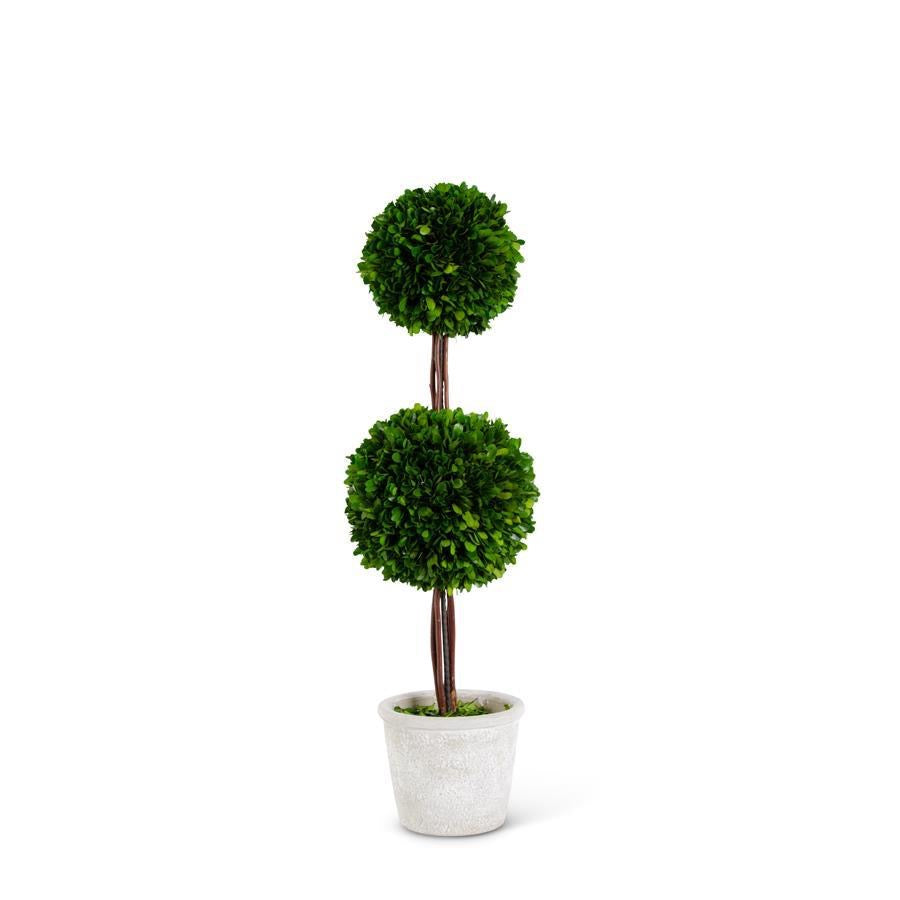 Preserved Boxwood Double Ball Topiary
