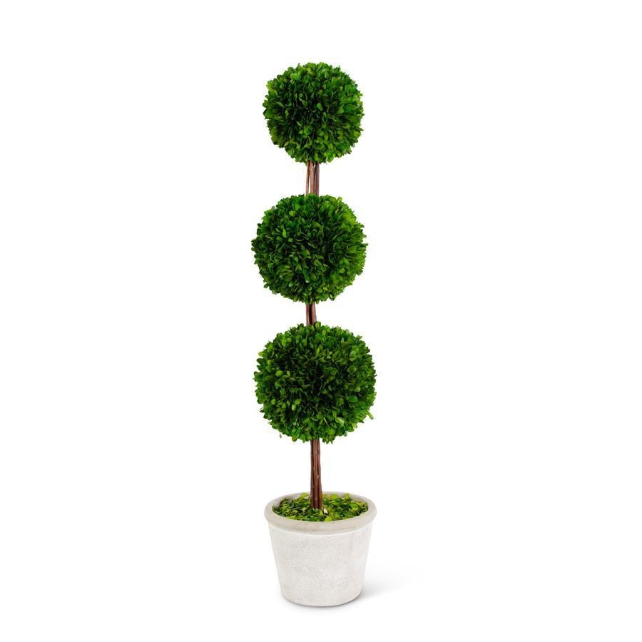 Preserved Boxwood Triple Ball Topiary