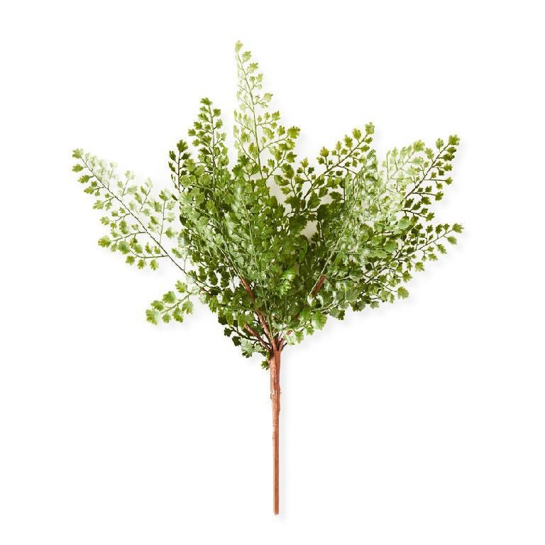 Maidenhair Fern Spray Stem 16"