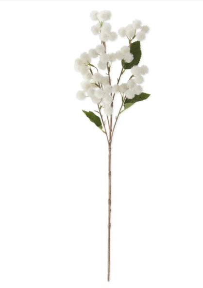 White Thistle