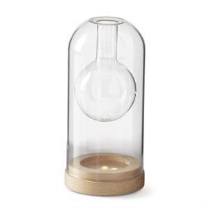 Clear Glass LED Cloche Bud Vase w/Timer
