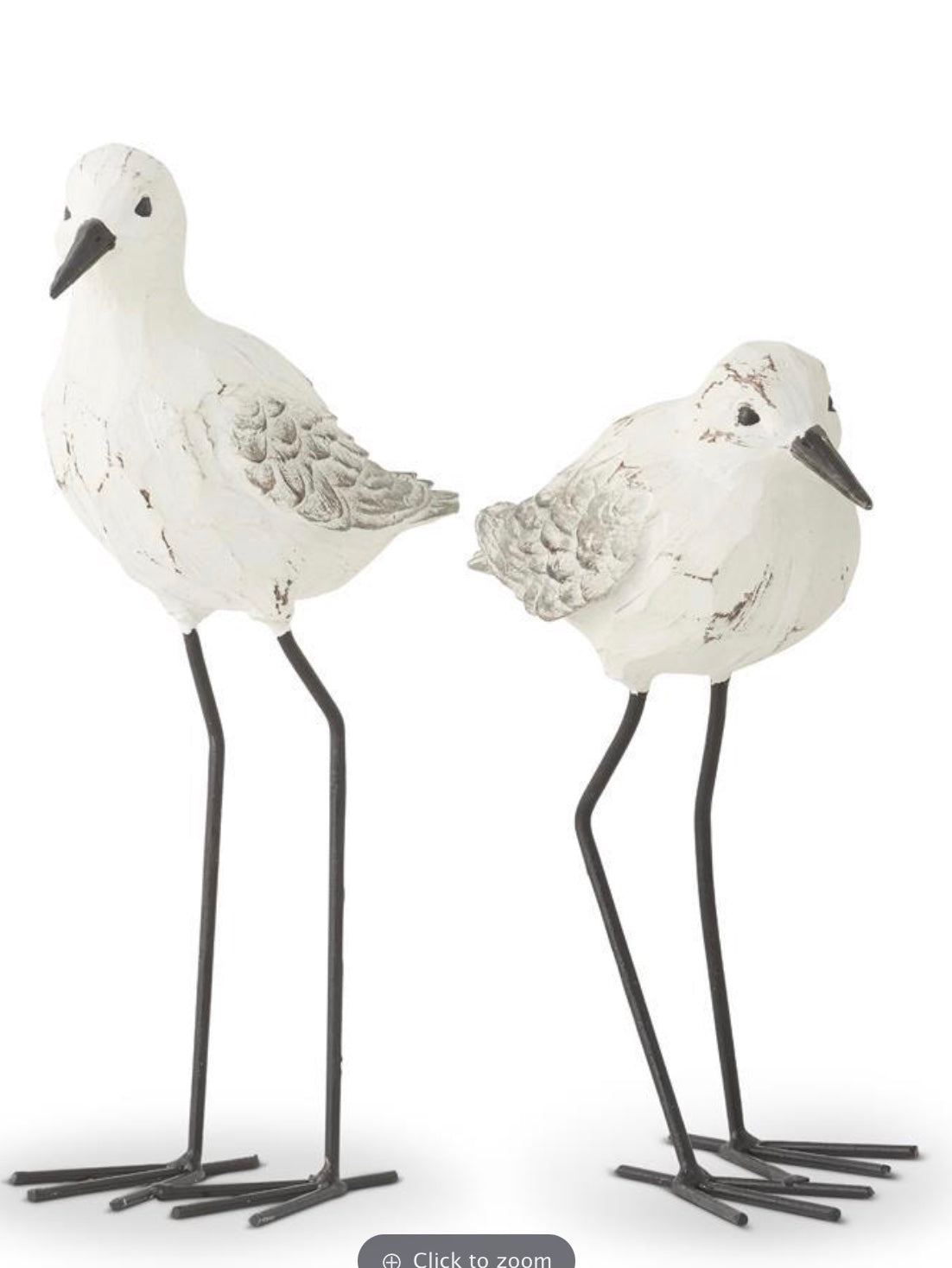 Gray Weathered Seagulls