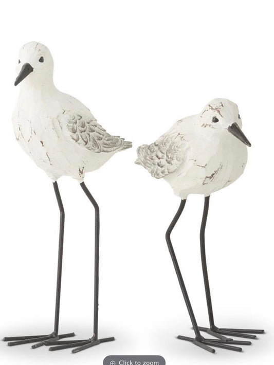 Gray Weathered Seagulls