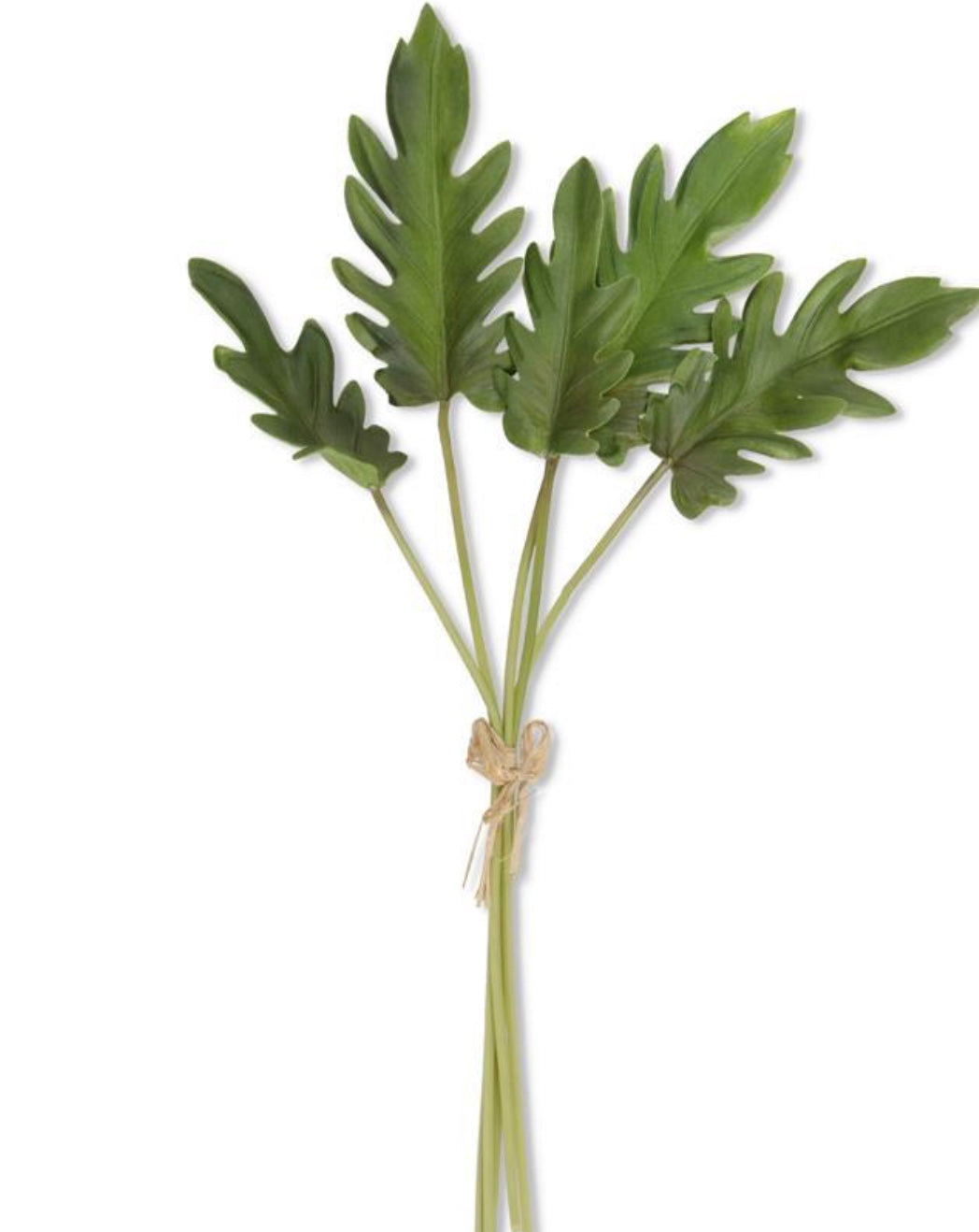 Split Leaf Philodendron  19 In