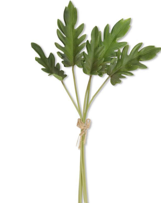 Split Leaf Philodendron  19 In