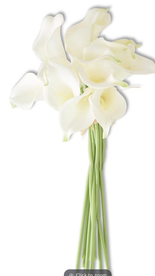 White Calla Lilly Wht