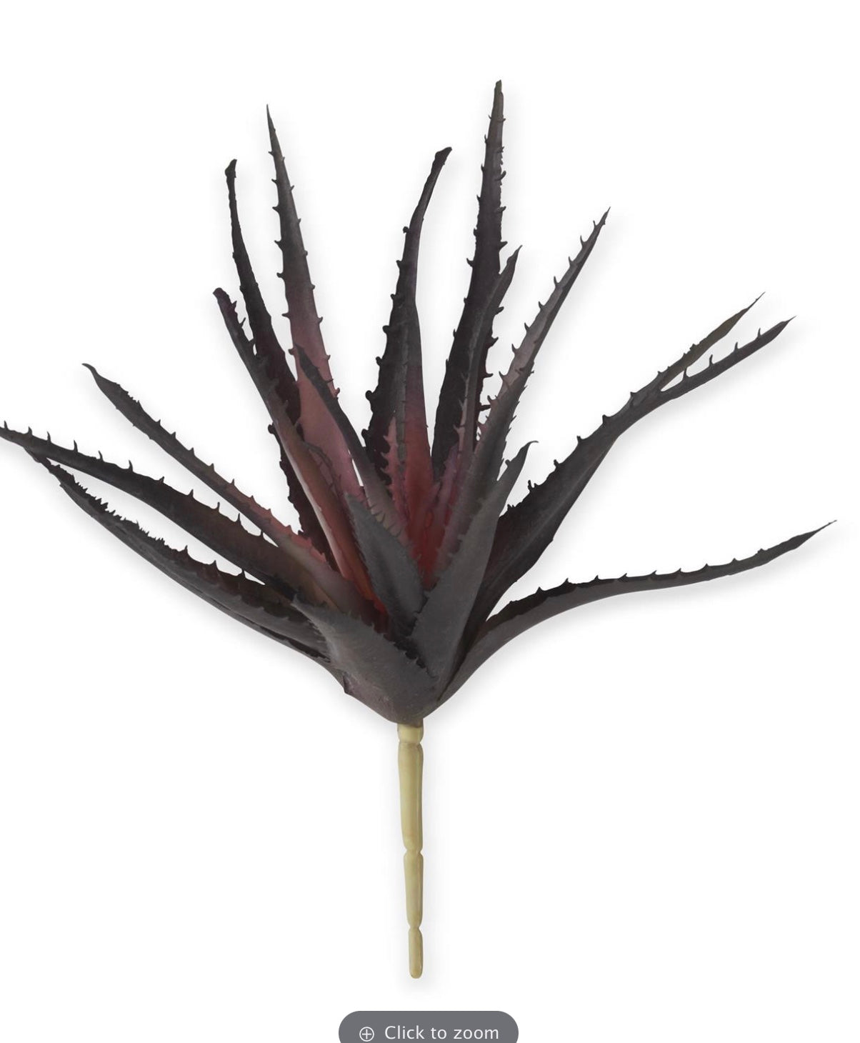 Aloe Pick Purple