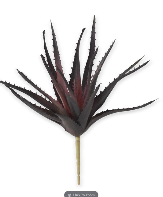 Aloe Pick Purple
