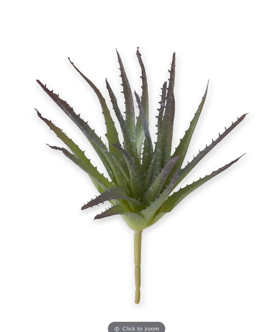 Aloe  GRPU