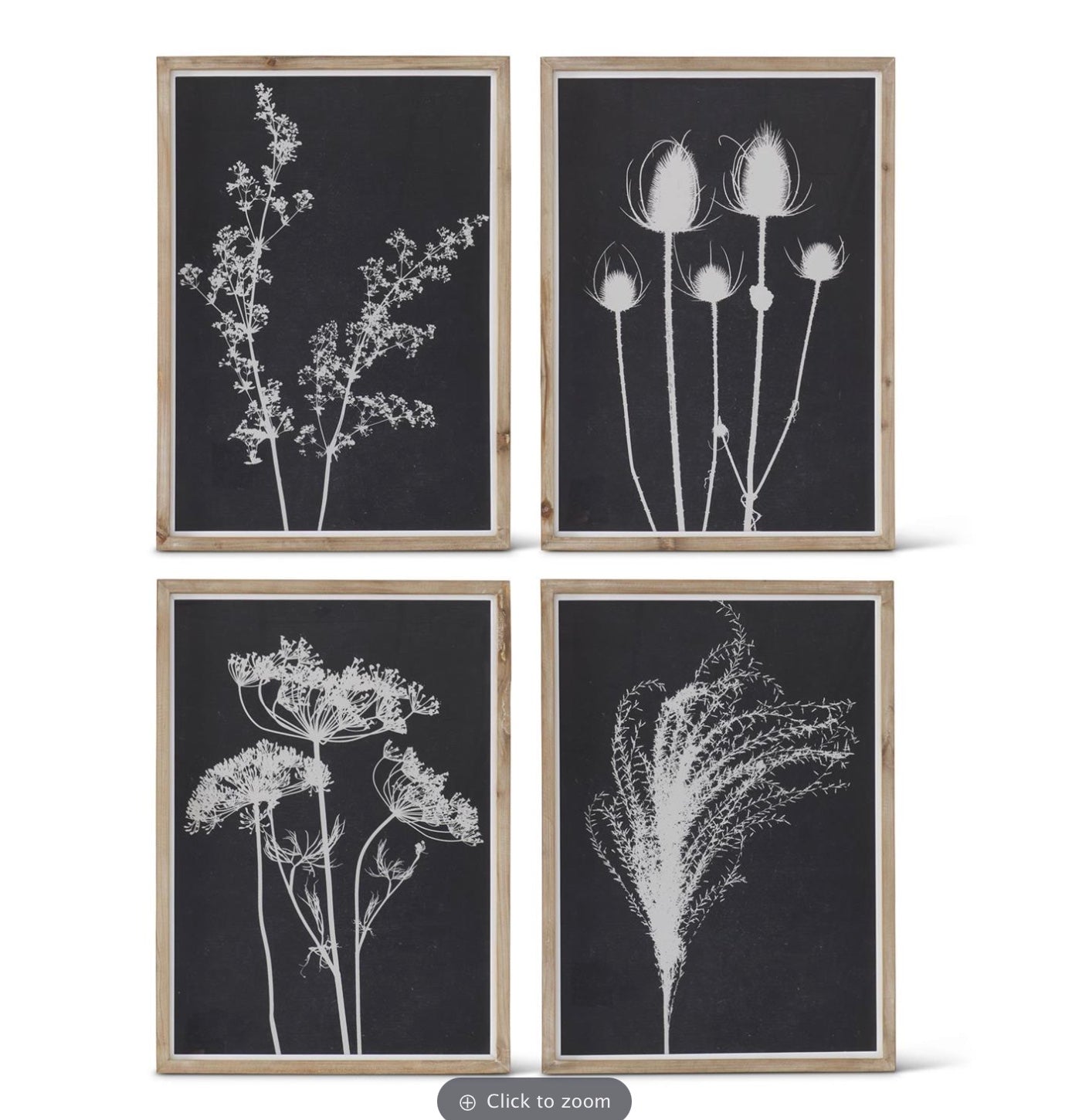 Botanicals Black and White 27.5 in