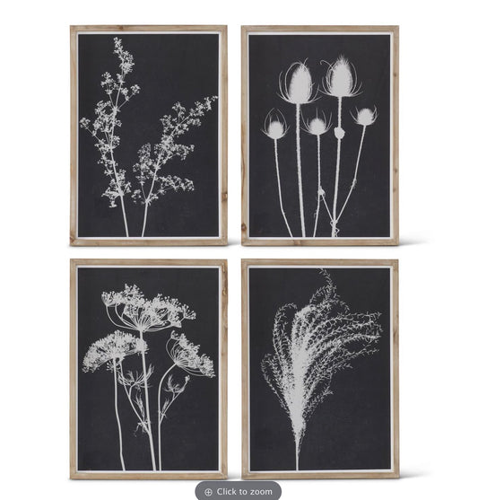 Botanicals Black and White 27.5 in