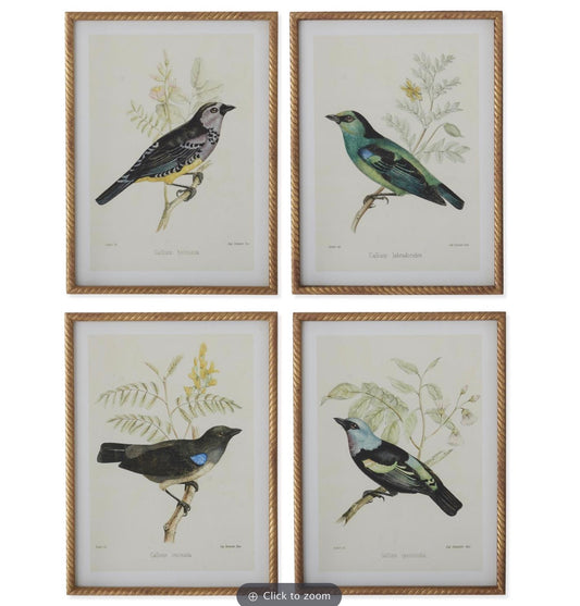 Gold Framed Bird Print  23.5 in