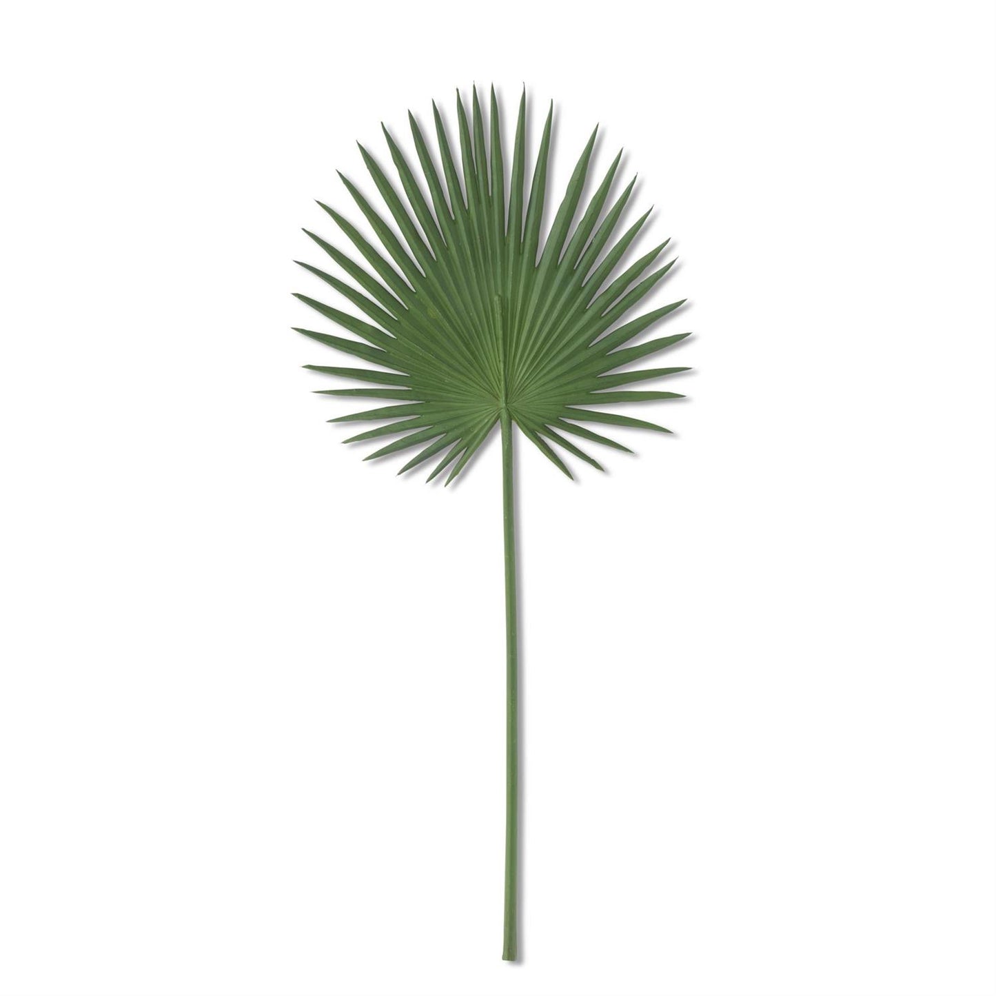 Fan Palm Leaf Stem 33"