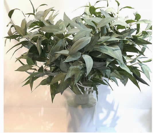 38 " Eucalyptus
