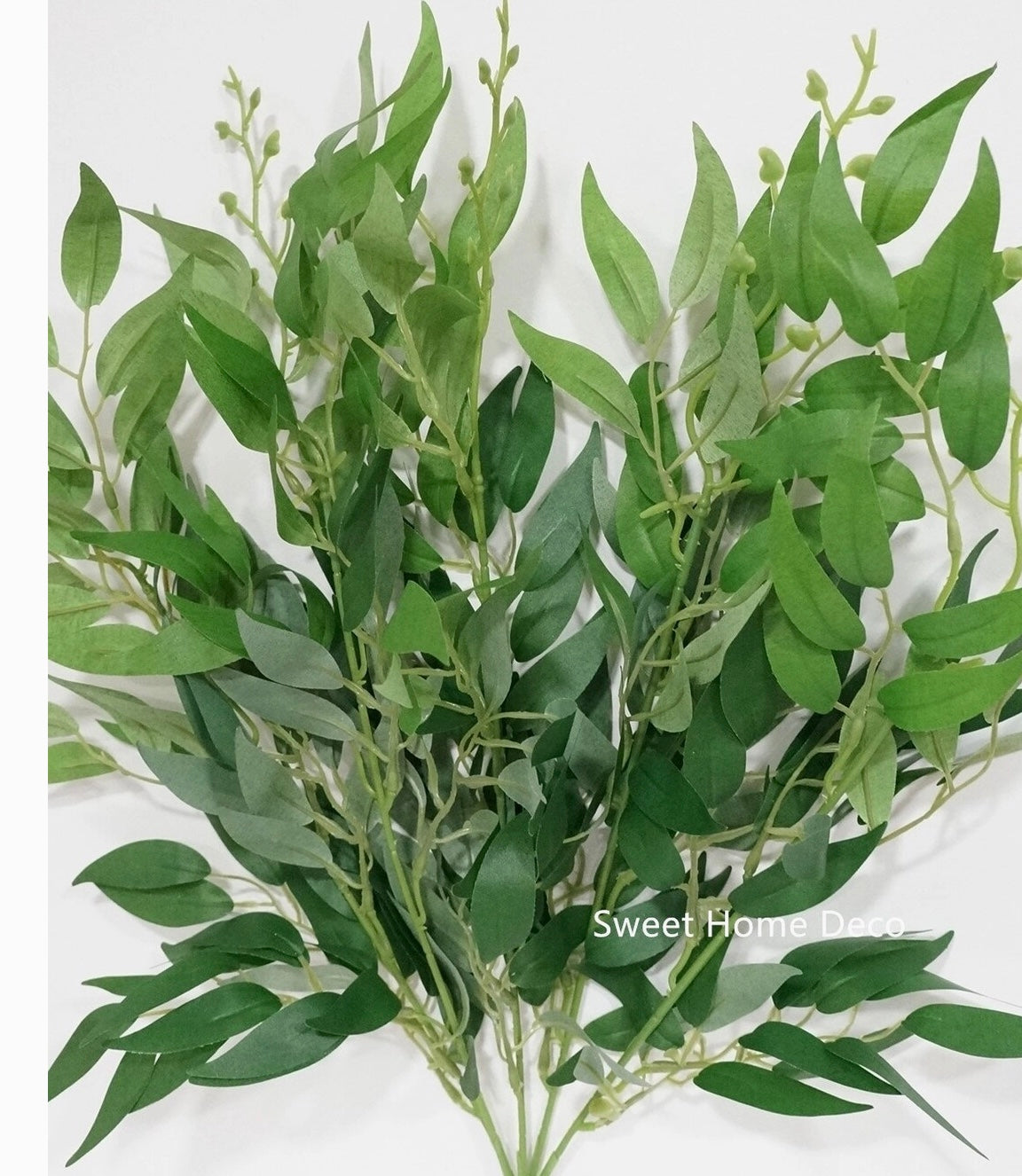 20" Eucalyptus Bush