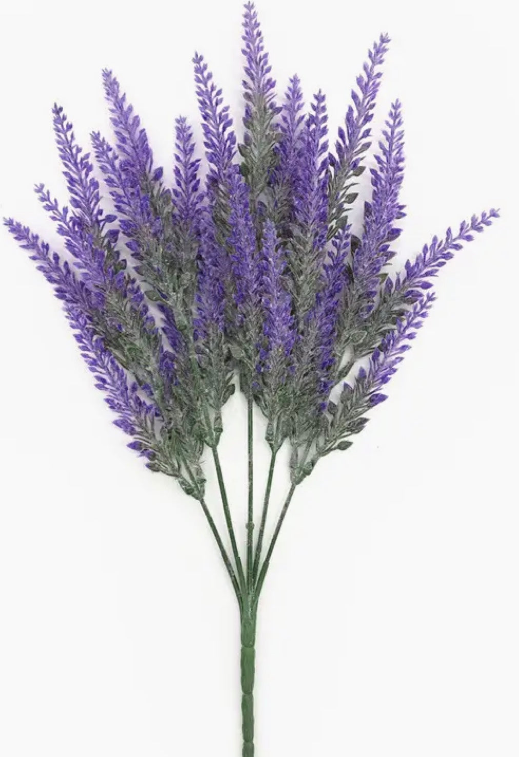 Lavender Bush