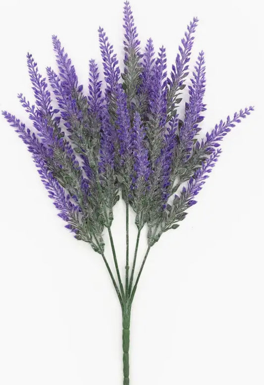 Lavender Bush