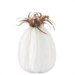 White Cable Knit Pumpkin w/Wood Stem & Feathers