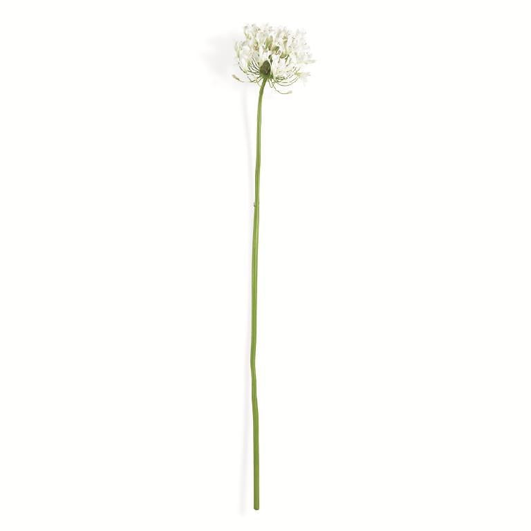 White Agapanthus Stem 40"