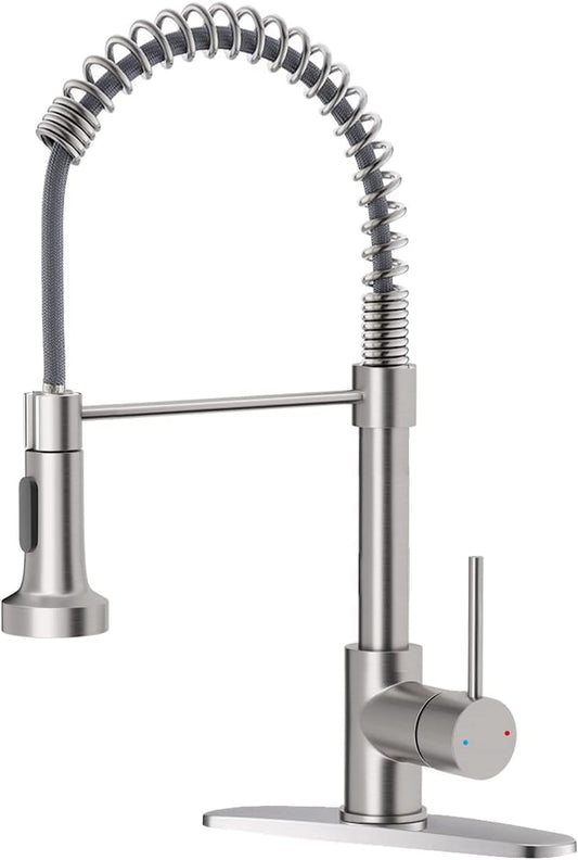 Kitchen Faucet with Pull Down Sprayer