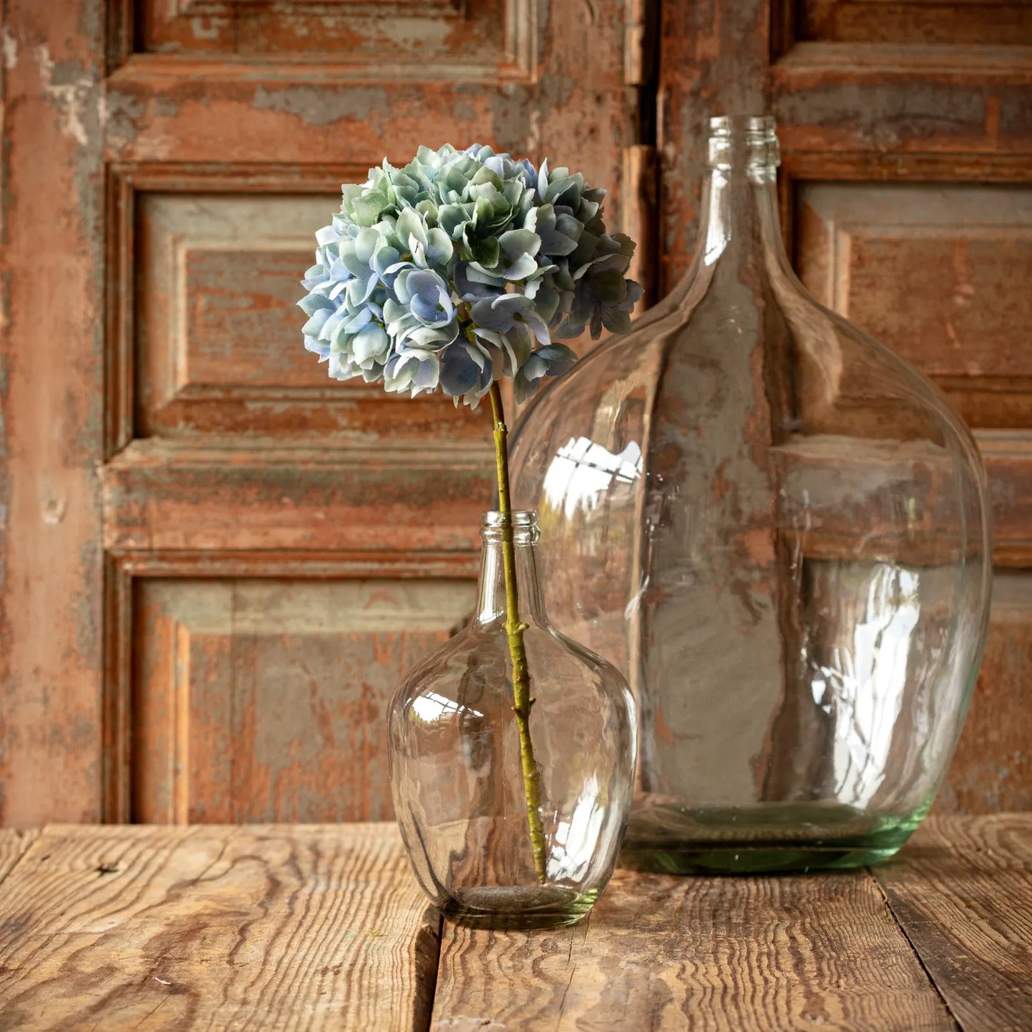 Hydrangea Blue Green